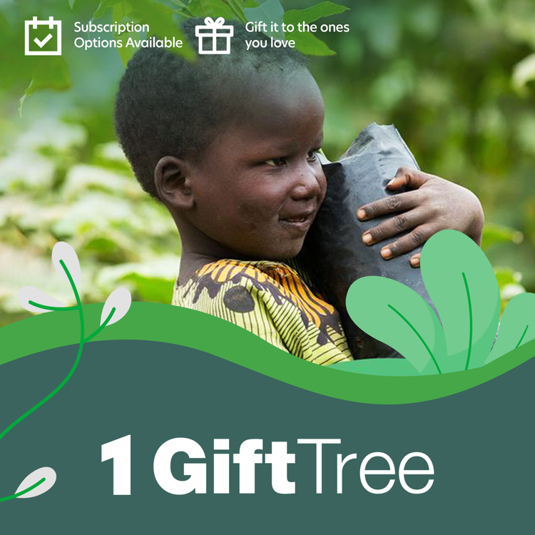 Plant 1 GiftTree