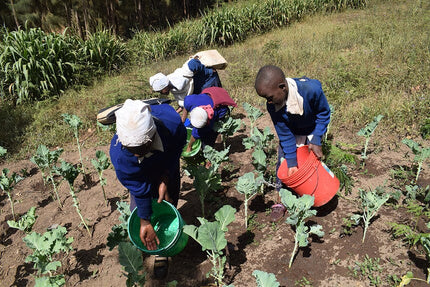 Plant 300 Breathe GiftTrees