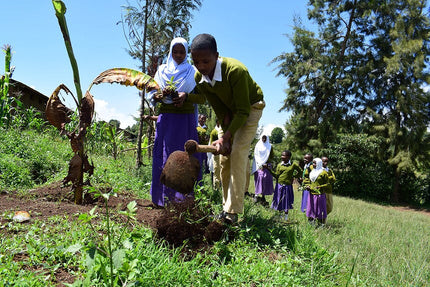 Plant 500 Breathe GiftTrees
